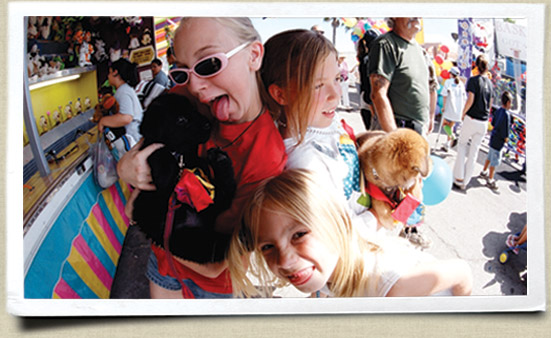 festival images